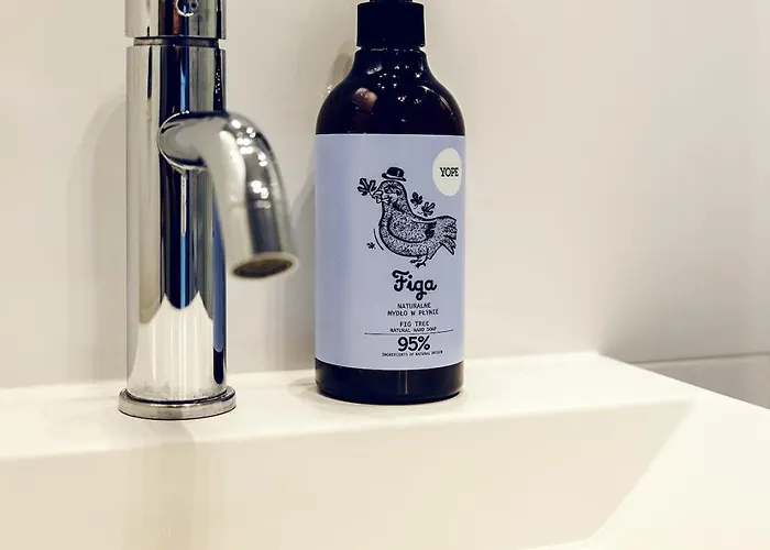 3-room Centre Near Market Square Free Parking Breslavia